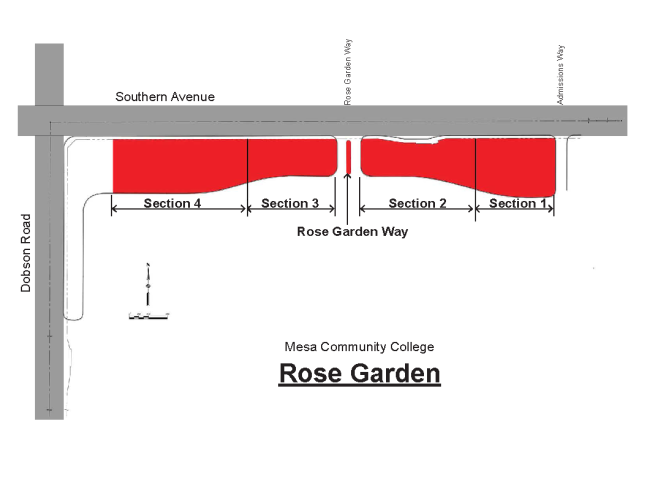 Rose Varieties | Rose Garden | Mesa Community College